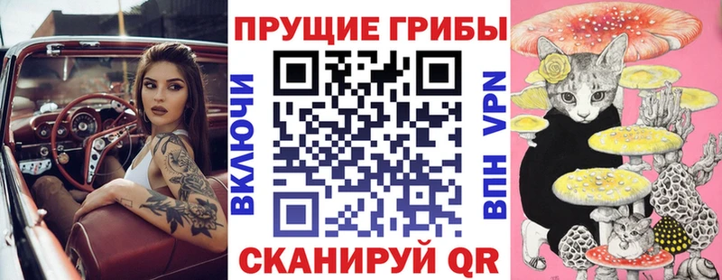 Галлюциногенные грибы Psilocybine cubensis  Купить  Нижнекамск 