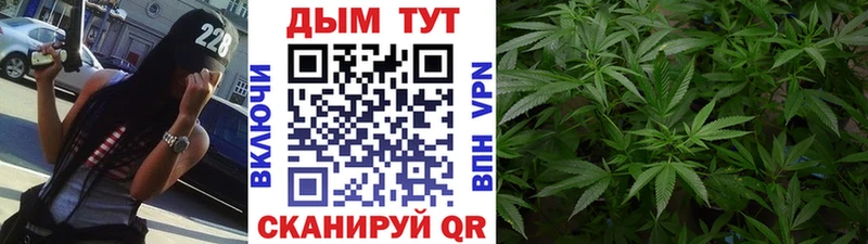 Каннабис Amnesia  Купить где  Нижнекамск 